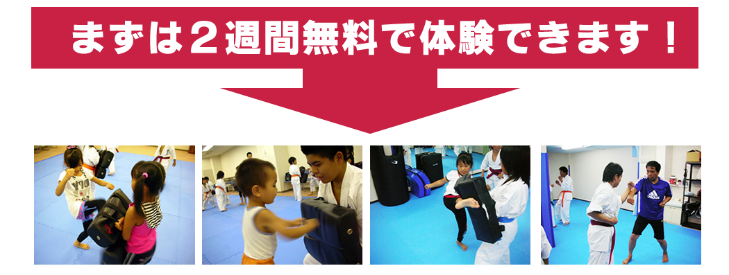 まずは2週間無料で体験できます！